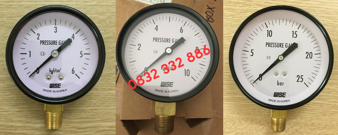 Đồng hồ áp suất Wise P110