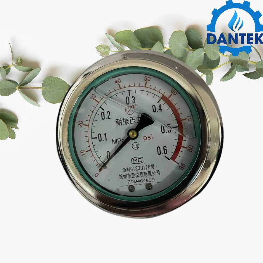 Đồng hồ áp suất 0-0.6MPA Trung Quốc